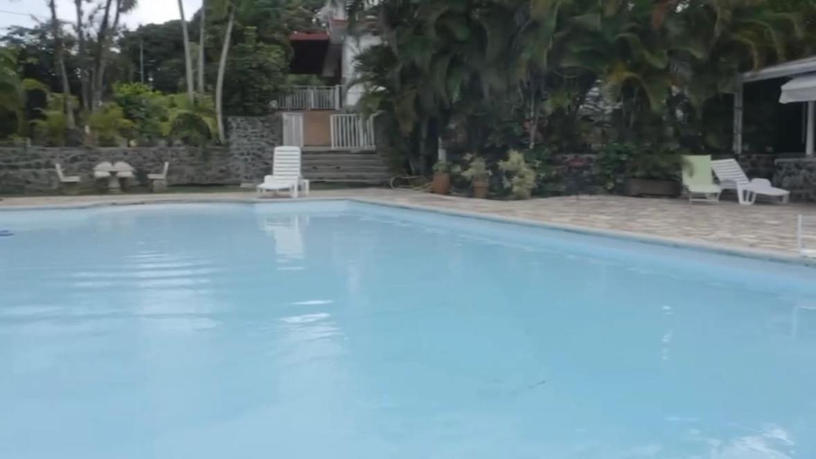 Villa Les Orchidees Et Villa Alpinia Petit-Bourg Exteriör bild