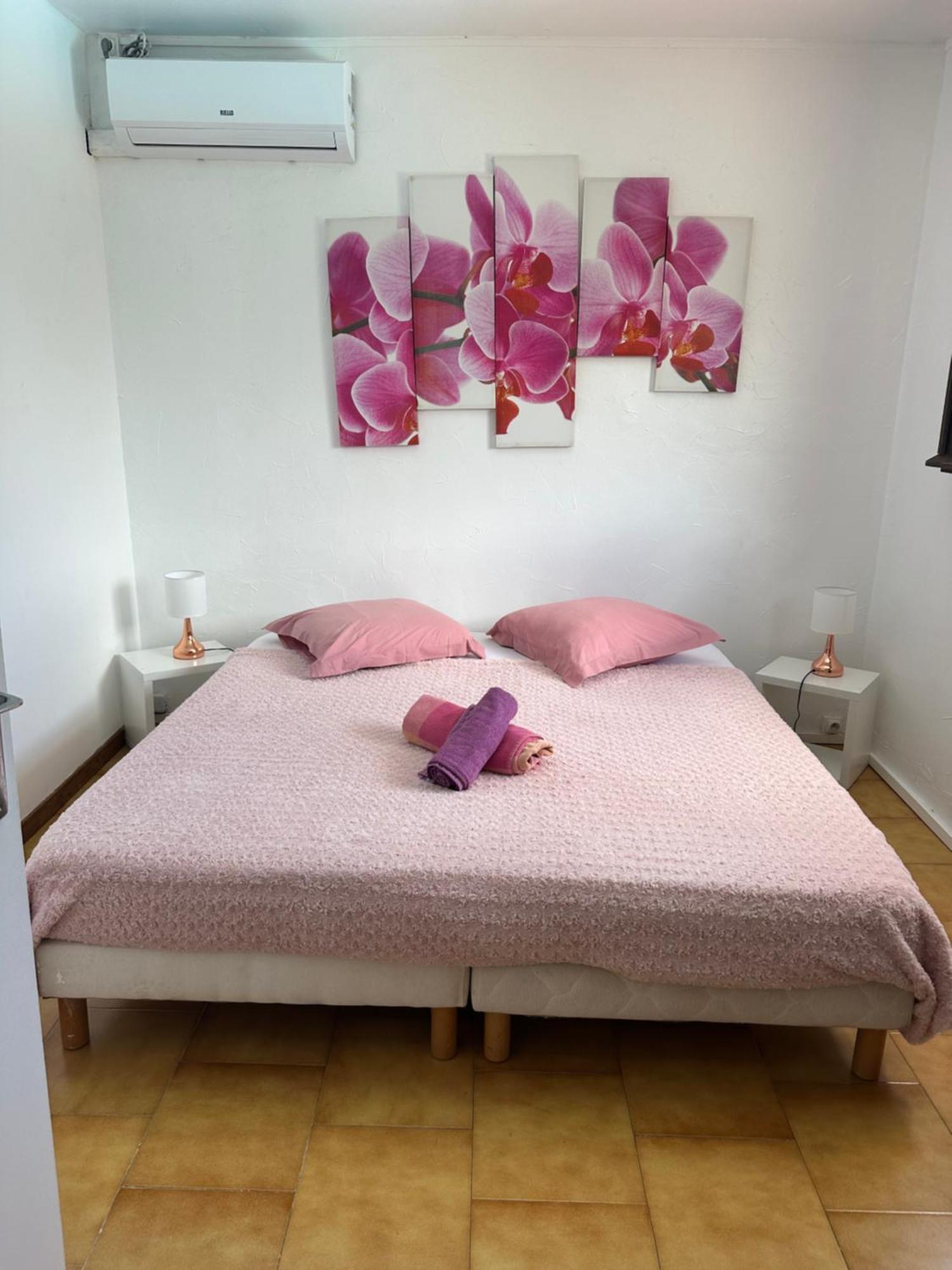 Villa Les Orchidees Et Villa Alpinia Petit-Bourg Exteriör bild